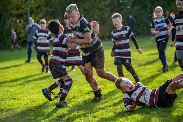 Gallery – Chipping Sodbury Rugby Football Club