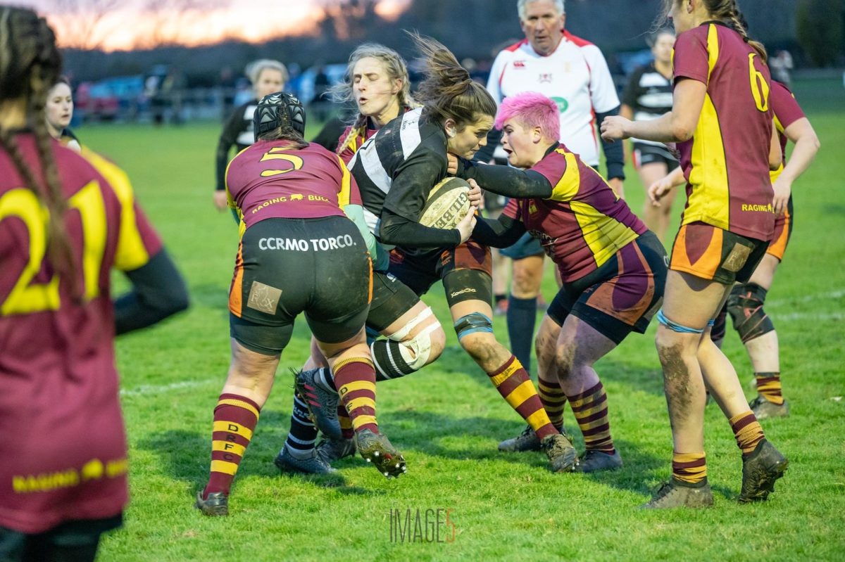 Gallery – Chipping Sodbury Rugby Football Club